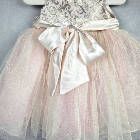 CHANTILLY PLACE Tool Flower Formal Dress Champagne Blush Baby Girl Sz 18 Months - Picture 5 of 12